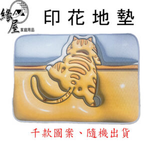 印花地墊【緣屋百貨】天天出貨 地墊 腳踏墊 踏墊 印花地墊 彩色地墊 防滑墊 珪藻地墊 浴室地墊 花紋地墊 墊子 防滑墊