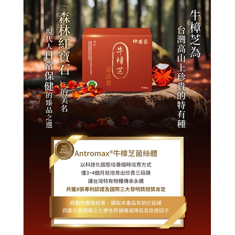 Antromax®牛樟芝菌絲體膠囊(60顆/盒)【緣屋百貨】天天出貨 100%官方正品請安心購買 仲安家JOINHOME:圖片 3